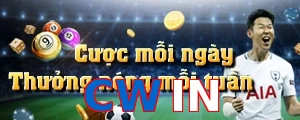 CWIN
